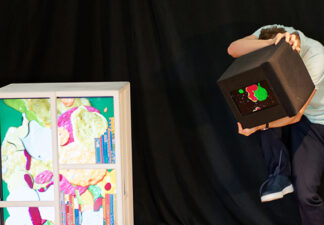 Mille secrets de poussins © N. Guillemot